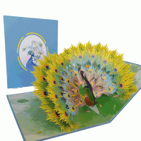 pop-up paradijs pauw kaart